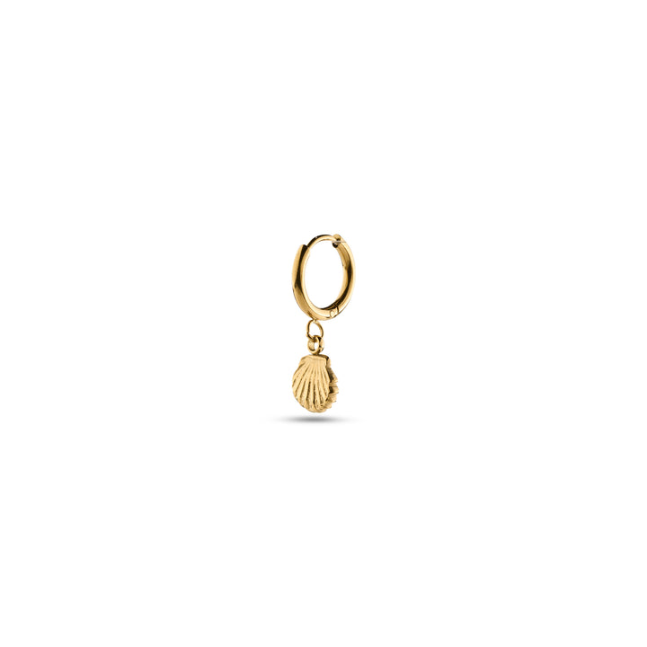 Ane - Seashell Hoop Earrings Stainless Steel