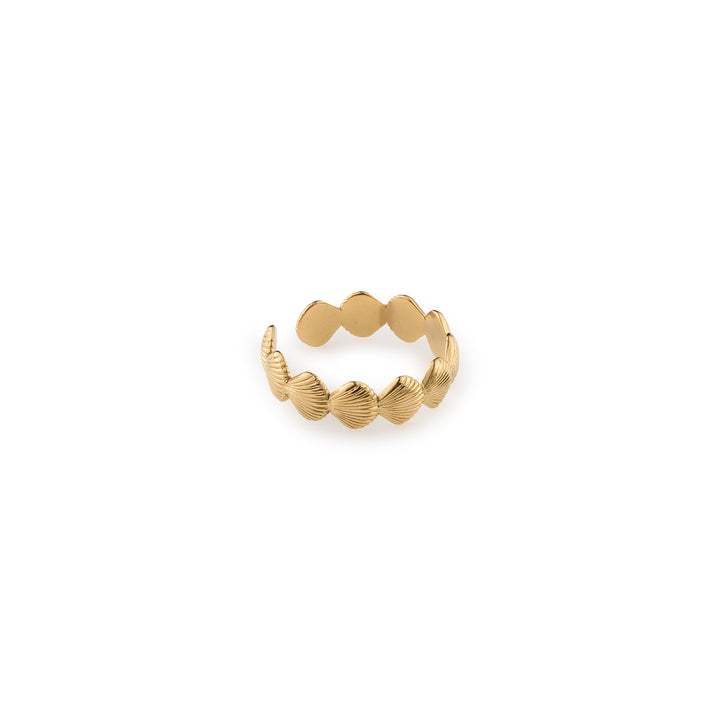 Ane - Seashell Adjustable Ring Stainless Steel