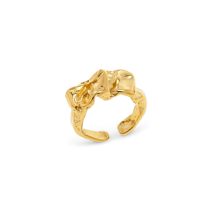 Siri - Chunky Statement Ring Stainless Steel