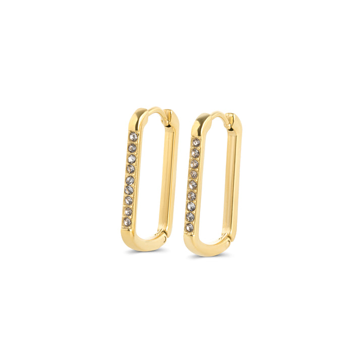 Celeste - Krystal øreringe med ring i rustfrit stål