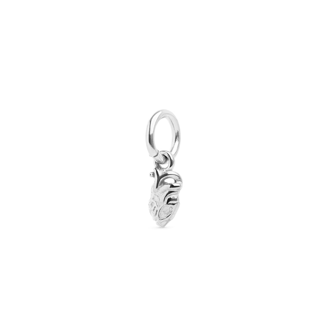 Zeo - Anatomical Heart Charm Stainless Steel