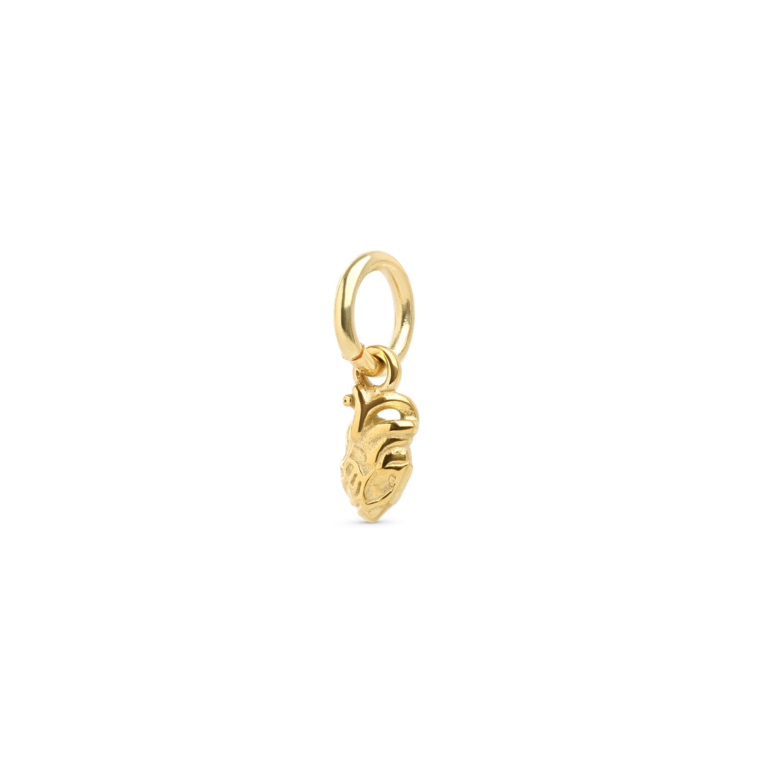 Zeo - Anatomical Heart Charm Stainless Steel