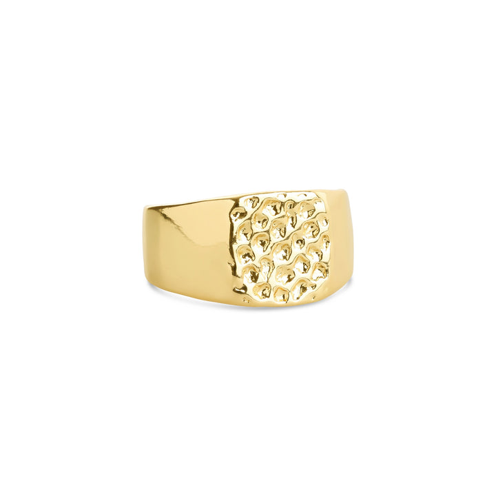 Blythe – signetring i rustfrit stål, guld | Timi of Sweden