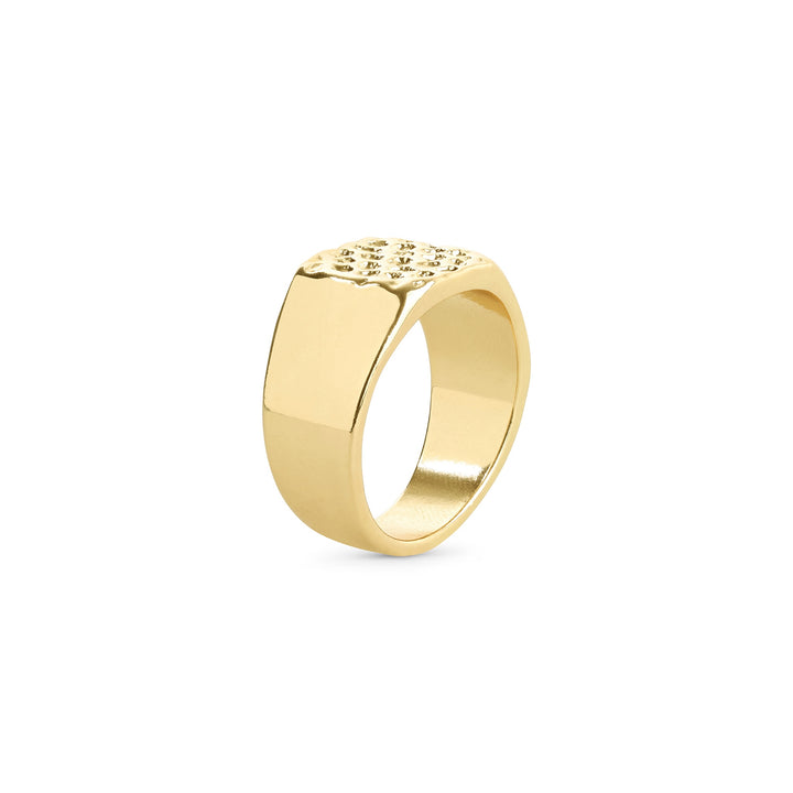 Blythe – signetring i rustfrit stål, guld | Timi of Sweden